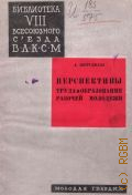 Шерудилло А., Перспективы труда и образования рабочей молодежи. докл. на VIII съезде ВЛКСМ - 1928