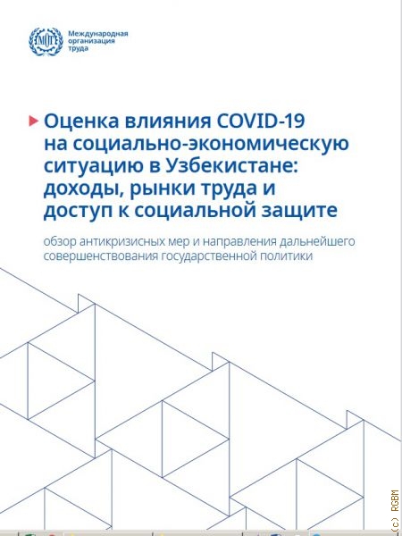 Оценка влияния COVID-19 на социально-экономическую ситуацию в Узбекистане: доходы, рынки труда и доступ к социальной защите — 2020